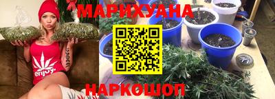 гидра Малоярославец
