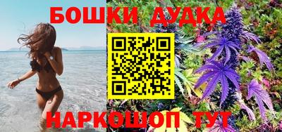 крисы Малгобек