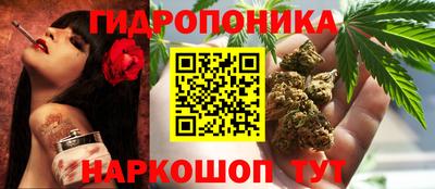 крисы Малгобек