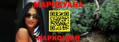 крисы Малгобек