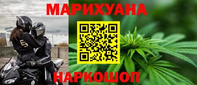 крисы Малгобек