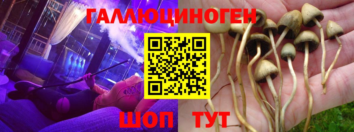 Псилоцибиновые грибы Magic Shrooms  Вход с VPN  Выборг 